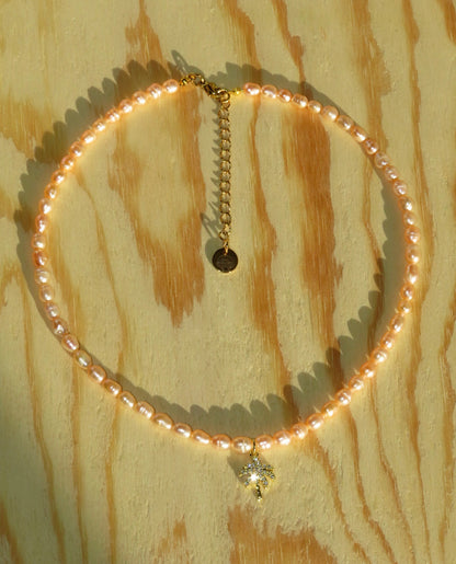 COLLAR PEACH PALM