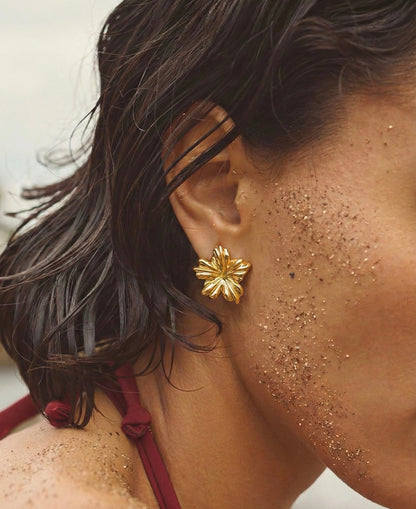 PENDIENTES BORA-BORA