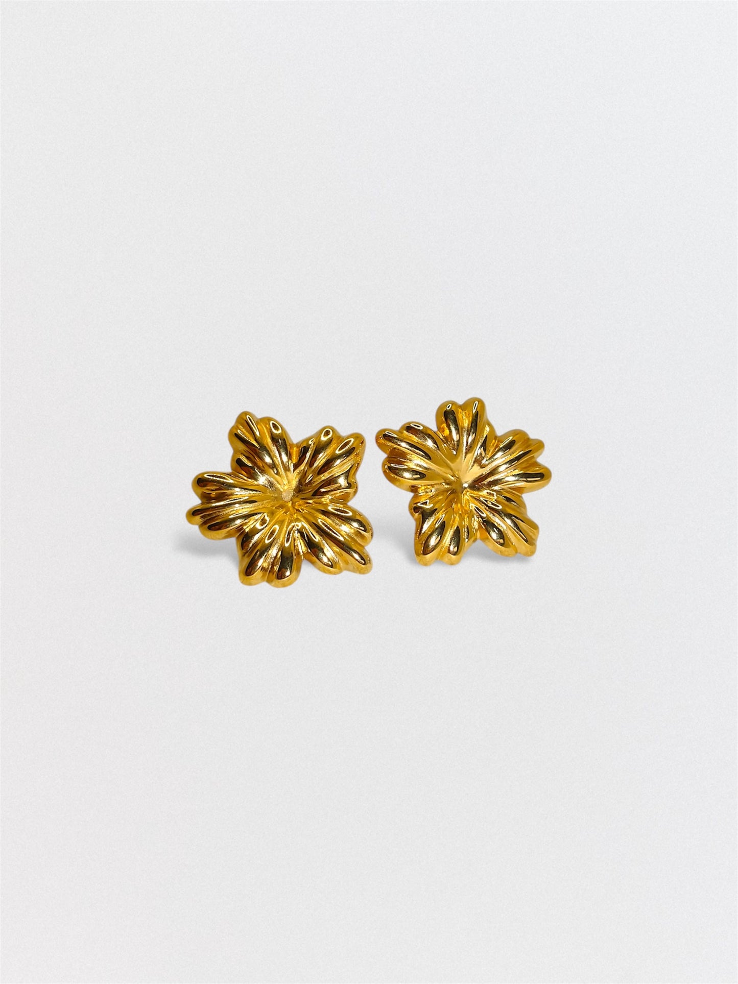 PENDIENTES BORA-BORA